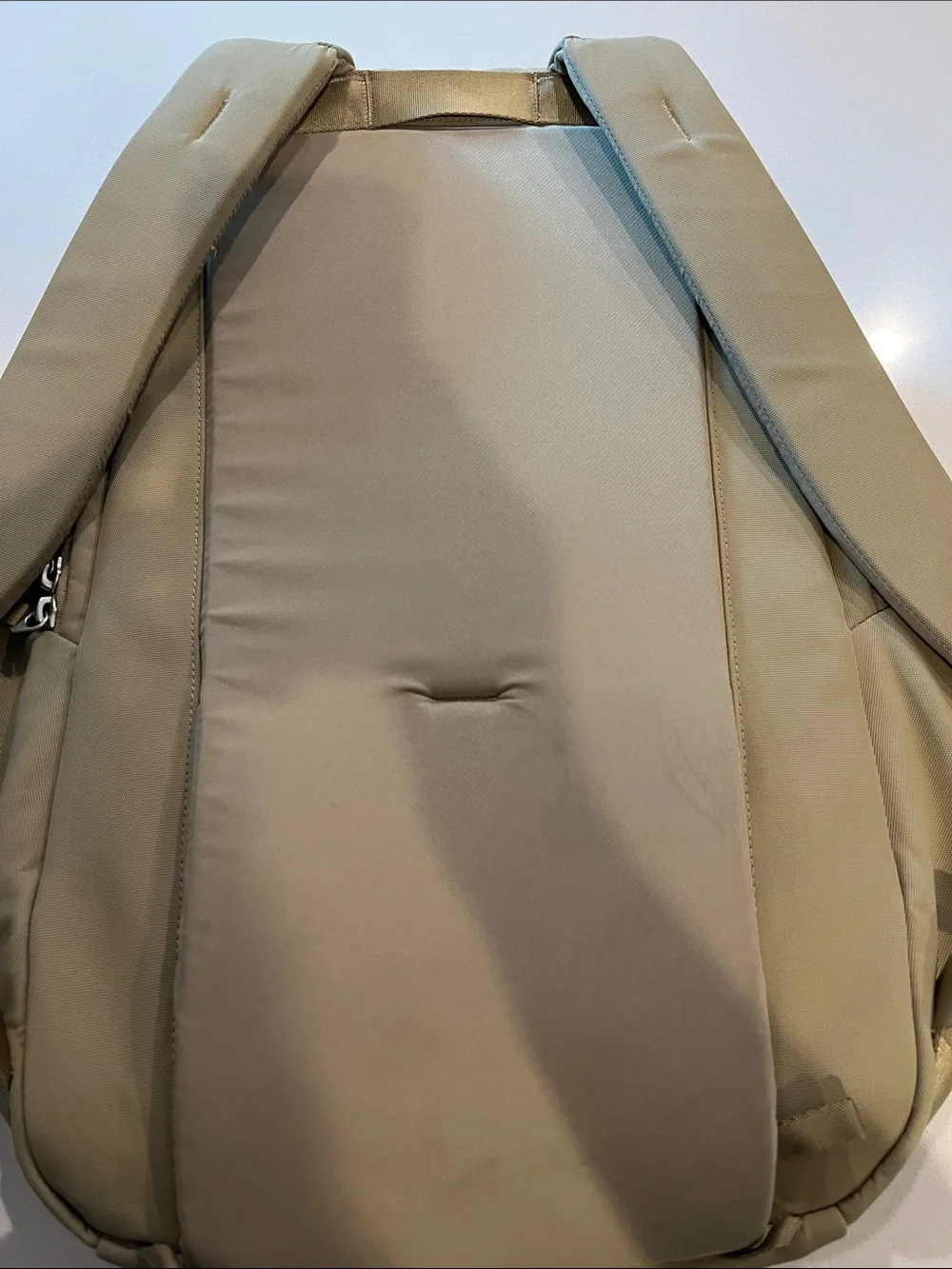 Urth Backpack